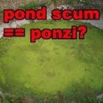 pond-scum-ponzi