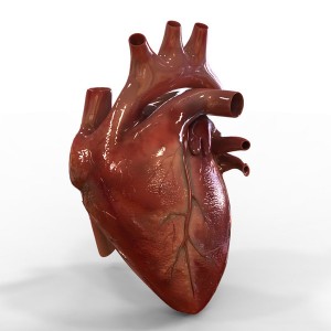 heart-3