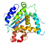 Protein Chain
