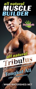 WWC-Arnold-Banner-Tribulus-Print