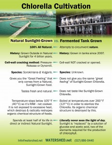 Chlorella-Cultivaton_Fermented_vs_sunlight_card_090915