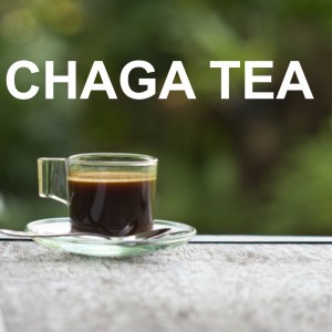 CHAGA_TEA